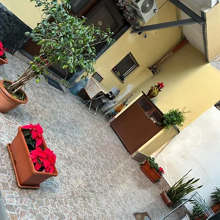 Dany House *